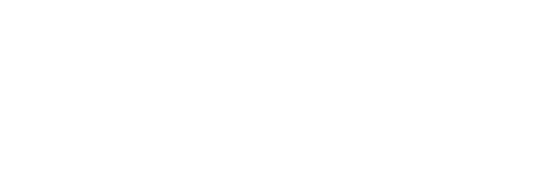 Homen Capital